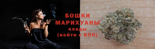 шишки Бородино