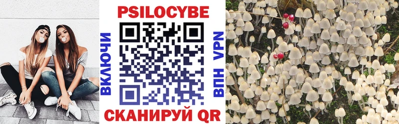 ОМГ ОМГ ТОР  Хасавюрт  Псилоцибиновые грибы ЛСД 