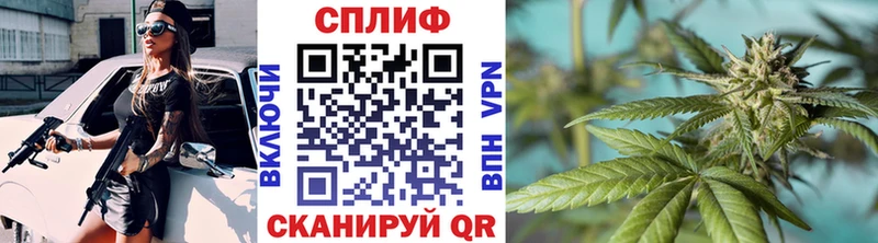 ОМГ ОМГ   купить наркотик  Хасавюрт  Бошки марихуана индика 